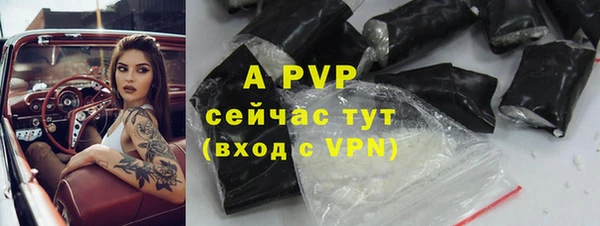 метадон Богданович