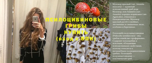 mdpv Богородицк