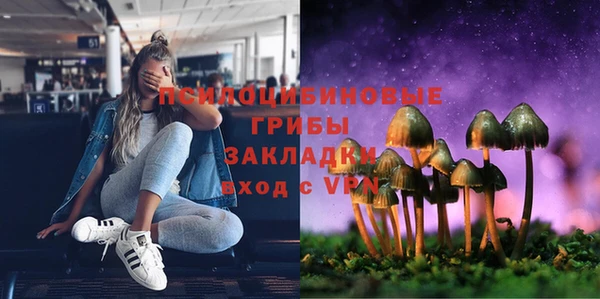 mdpv Богородицк