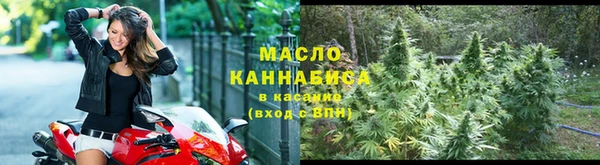 метадон Богданович